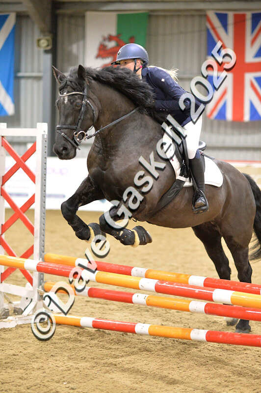 D4N_6171 - NorthcoteSun16thNov'25 Unaff.Jumping AvailableUntil16thDec'25