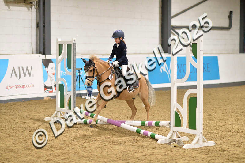 D4N_6593 - NorthcoteSat8thDec'25 XmasShowJumping AvailableUntil6thJan'26