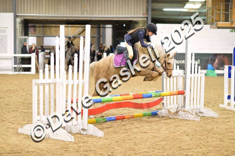 D4N_6860 - NorthcoteSat8thDec'25 XmasShowJumping AvailableUntil6thJan'26