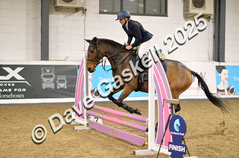 D4N_5981 - NorthcoteSun16thNov'25 Unaff.Jumping AvailableUntil16thDec'25