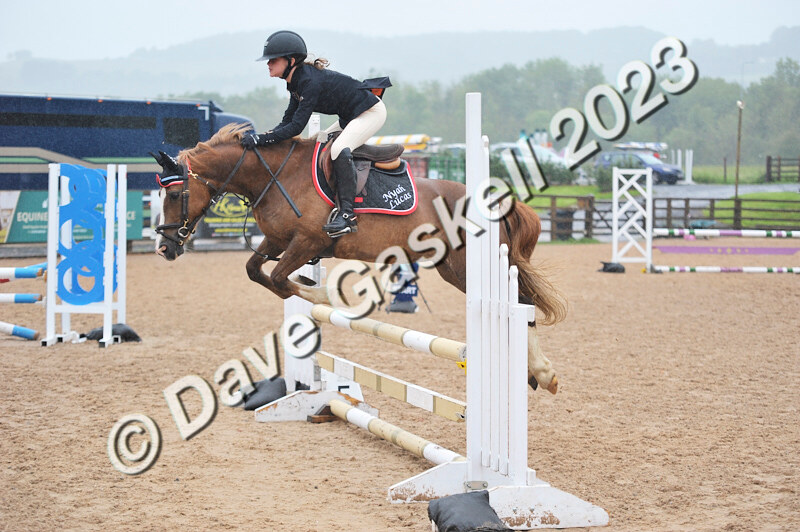 D8D_7367 - Juniors