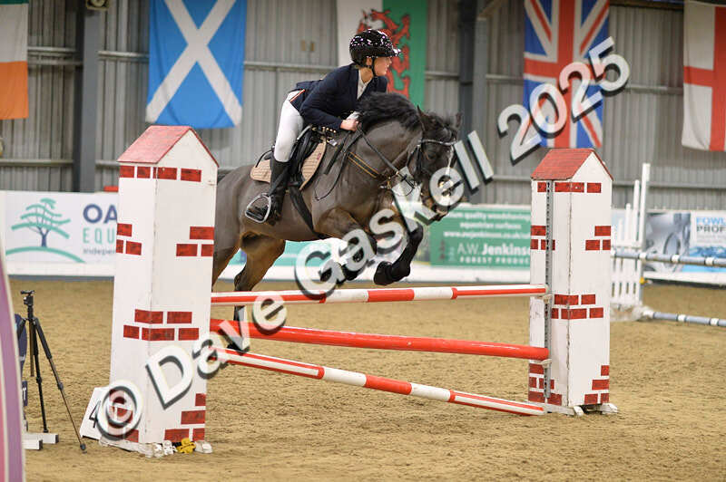 D4N_5948 - NorthcoteSun16thNov'25 Unaff.Jumping AvailableUntil16thDec'25