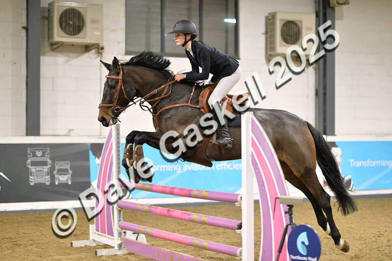 D4N_6447 - NorthcoteSun16thNov'25 Unaff.Jumping AvailableUntil16thDec'25