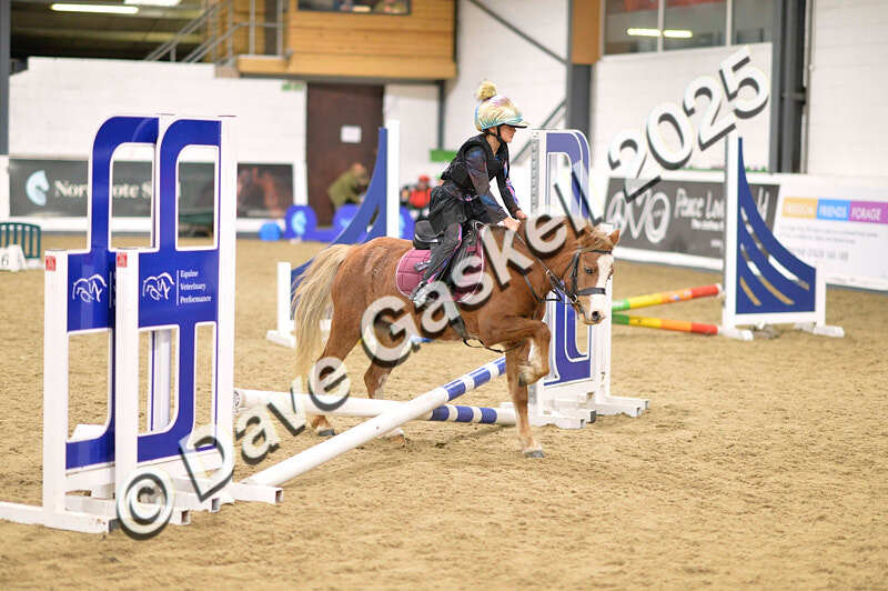 D4N_4734 - NorthcoteSun26thOct'25 Unaff.Jumping AvailableUntil28thNov'25