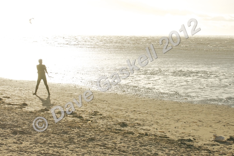 DSC_7958 - Beach & Surf Scenes