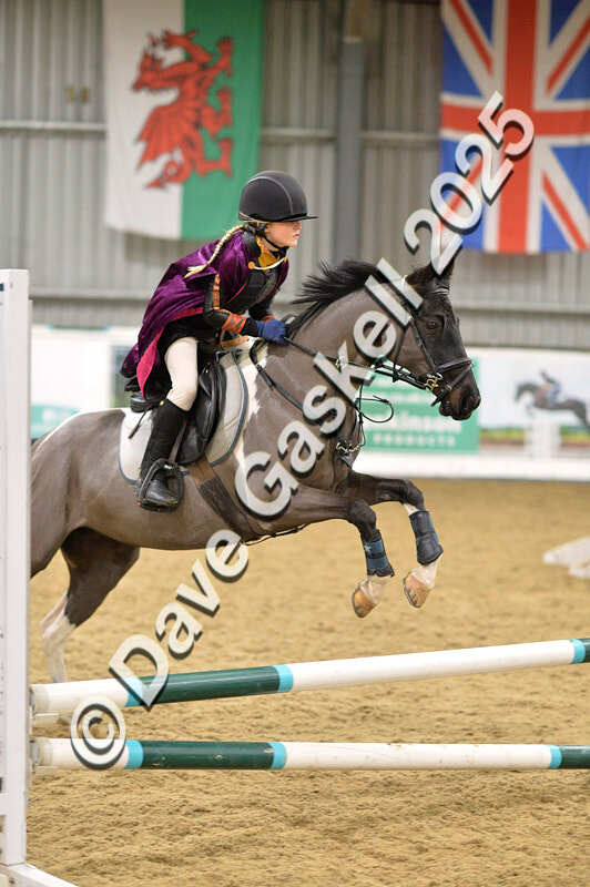 D4N_6816 - NorthcoteSat8thDec'25 XmasShowJumping AvailableUntil6thJan'26
