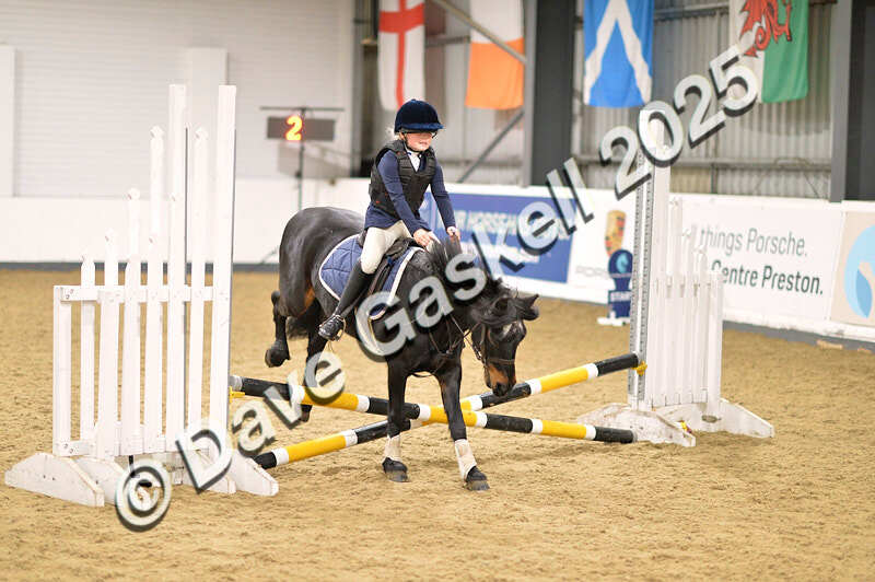 D4N_4777 - NorthcoteSun26thOct'25 Unaff.Jumping AvailableUntil28thNov'25