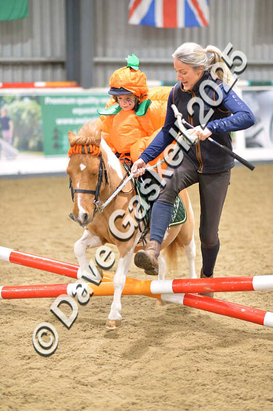 D4N_4650 - NorthcoteSun26thOct'25 Unaff.Jumping AvailableUntil28thNov'25