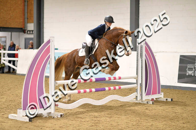 D4N_5113 - NorthcoteSun26thOct'25 Unaff.Jumping AvailableUntil28thNov'25