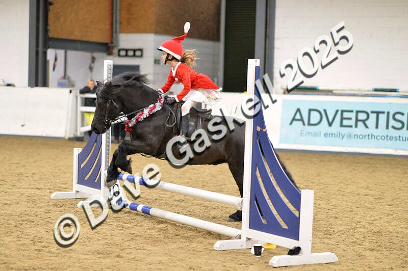 D4N_6721 - NorthcoteSat8thDec'25 XmasShowJumping AvailableUntil6thJan'26