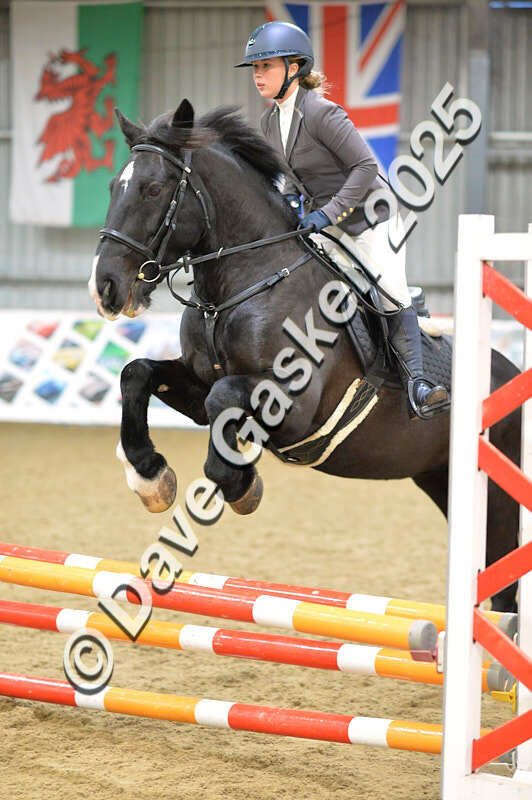 D4N_5724 - NorthcoteSun16thNov'25 Unaff.Jumping AvailableUntil16thDec'25