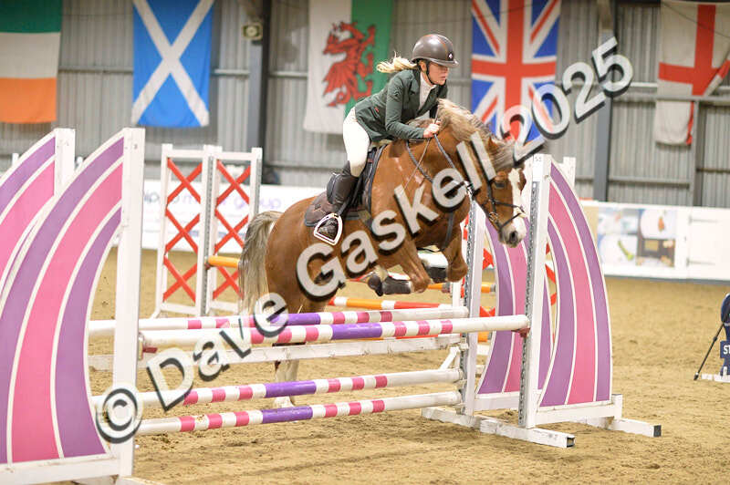 D4N_6287 - NorthcoteSun16thNov'25 Unaff.Jumping AvailableUntil16thDec'25