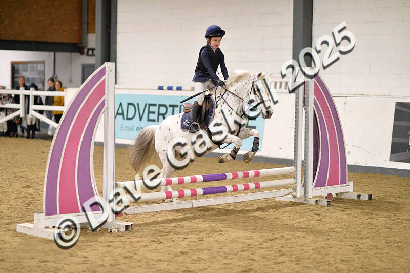 D4N_4851 - NorthcoteSun26thOct'25 Unaff.Jumping AvailableUntil28thNov'25