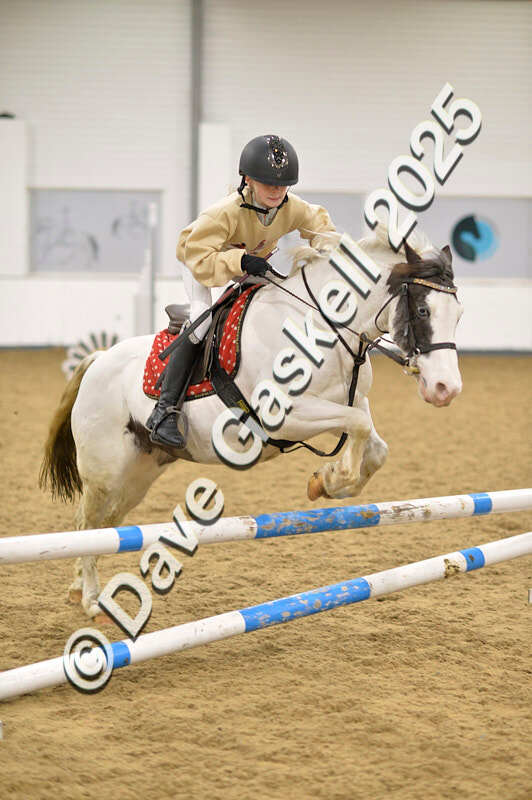 D4N_6766 - NorthcoteSat8thDec'25 XmasShowJumping AvailableUntil6thJan'26