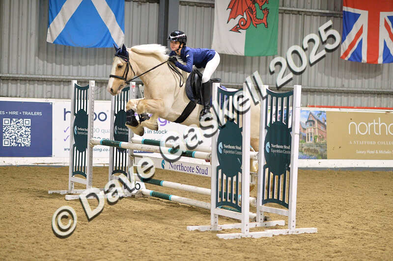 D4N_5925 - NorthcoteSun16thNov'25 Unaff.Jumping AvailableUntil16thDec'25