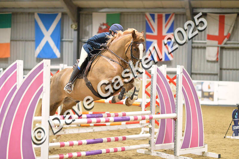 D4N_6484 - NorthcoteSun16thNov'25 Unaff.Jumping AvailableUntil16thDec'25