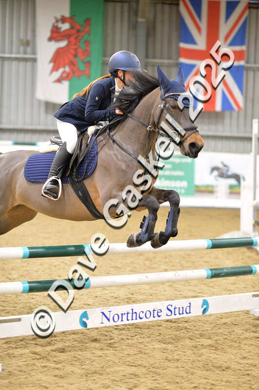 D4N_6942 - NorthcoteSat8thDec'25 XmasShowJumping AvailableUntil6thJan'26