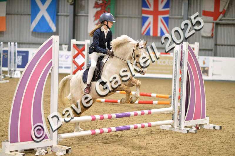 D4N_5544 - NorthcoteSun16thNov'25 Unaff.Jumping AvailableUntil16thDec'25