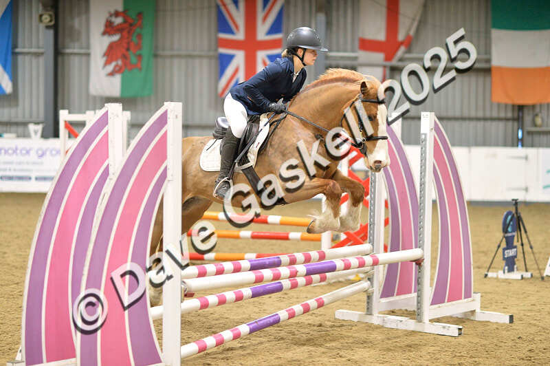 D4N_5746 - NorthcoteSun16thNov'25 Unaff.Jumping AvailableUntil16thDec'25