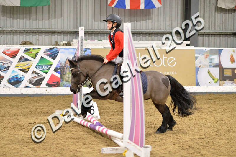D4N_6604 - NorthcoteSat8thDec'25 XmasShowJumping AvailableUntil6thJan'26