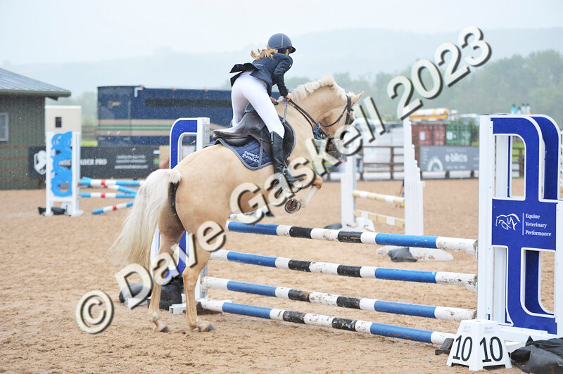 D8D_7357 - Juniors