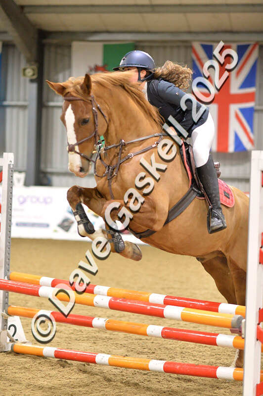 D4N_6271 - NorthcoteSun16thNov'25 Unaff.Jumping AvailableUntil16thDec'25