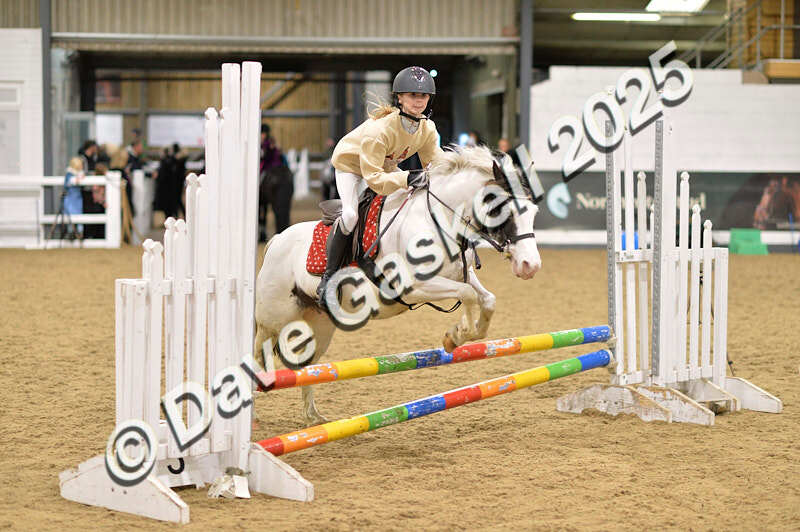 D4N_6763 - NorthcoteSat8thDec'25 XmasShowJumping AvailableUntil6thJan'26