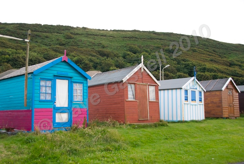 DSC_5661 - Westward Ho!
