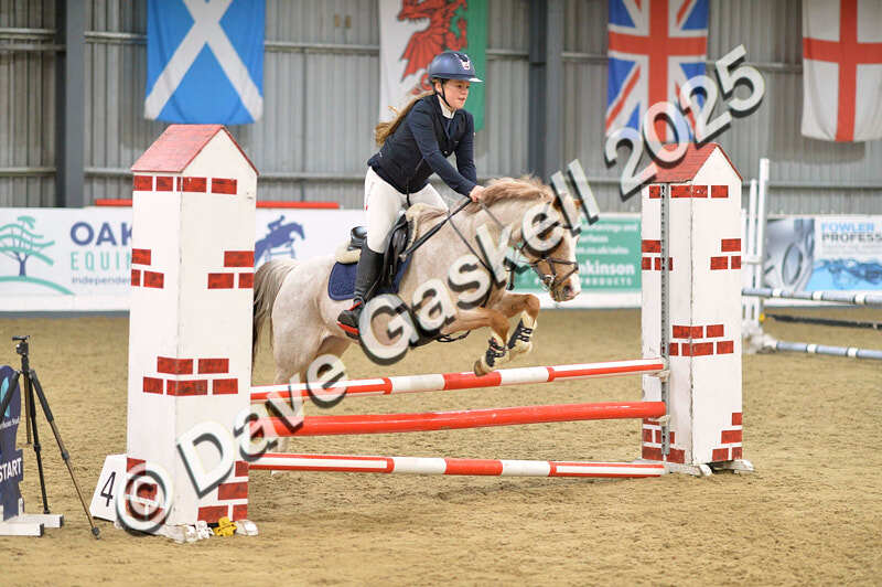 D4N_5709 - NorthcoteSun16thNov'25 Unaff.Jumping AvailableUntil16thDec'25