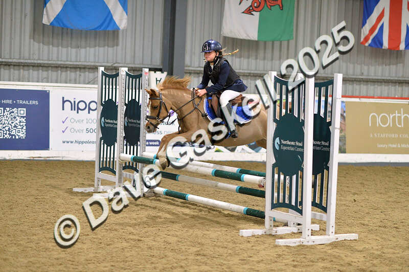 D4N_5679 - NorthcoteSun16thNov'25 Unaff.Jumping AvailableUntil16thDec'25