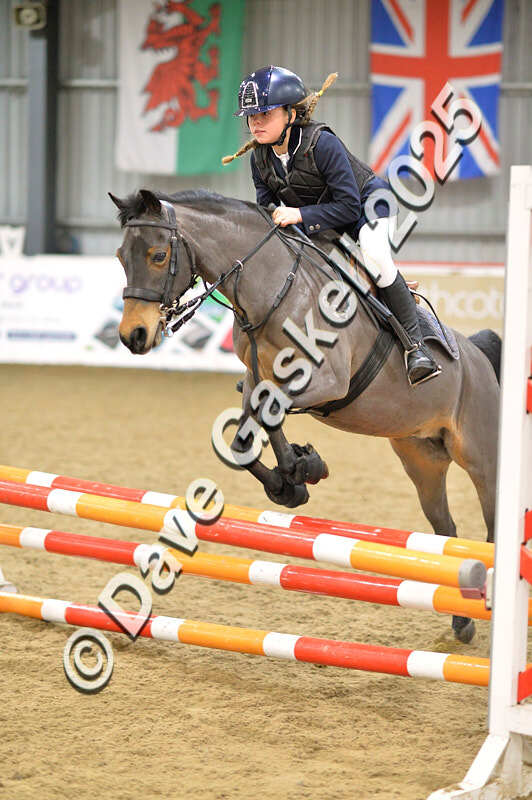 D4N_5807 - NorthcoteSun16thNov'25 Unaff.Jumping AvailableUntil16thDec'25