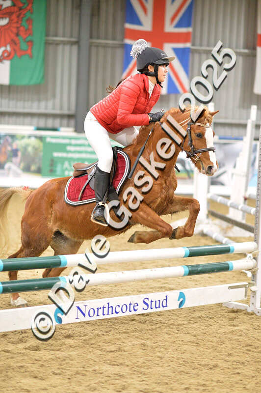 D4N_6929 - NorthcoteSat8thDec'25 XmasShowJumping AvailableUntil6thJan'26
