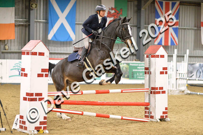 D4N_6290 - NorthcoteSun16thNov'25 Unaff.Jumping AvailableUntil16thDec'25