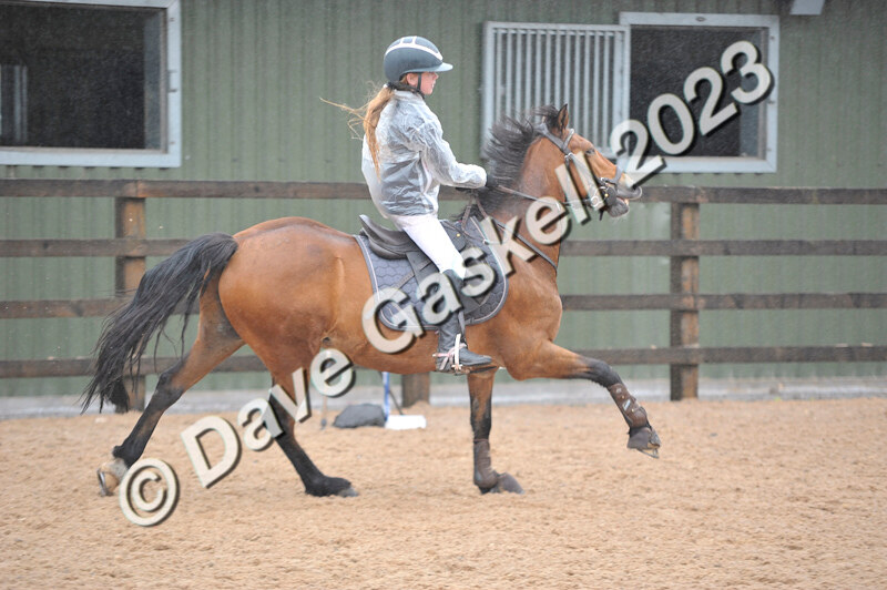 D8D_7364 - Juniors