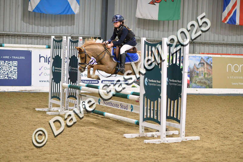 D4N_5698 - NorthcoteSun16thNov'25 Unaff.Jumping AvailableUntil16thDec'25