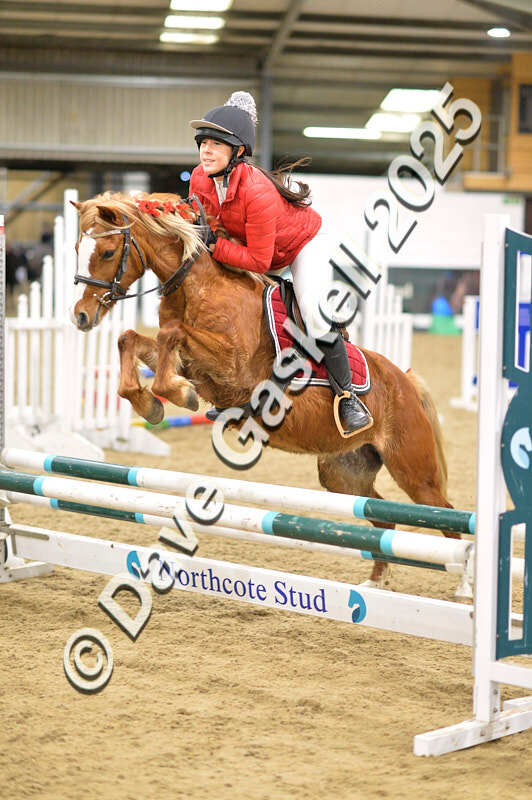 D4N_6932 - NorthcoteSat8thDec'25 XmasShowJumping AvailableUntil6thJan'26