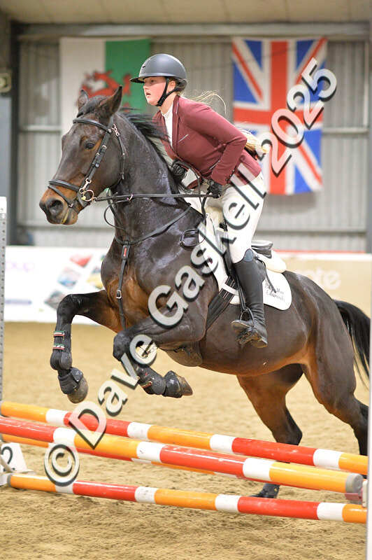 D4N_6048 - NorthcoteSun16thNov'25 Unaff.Jumping AvailableUntil16thDec'25