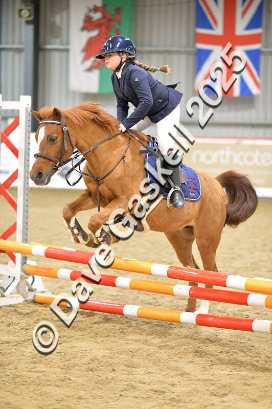 D4N_5590 - NorthcoteSun16thNov'25 Unaff.Jumping AvailableUntil16thDec'25