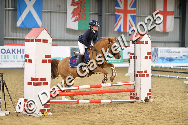 D4N_5591 - NorthcoteSun16thNov'25 Unaff.Jumping AvailableUntil16thDec'25