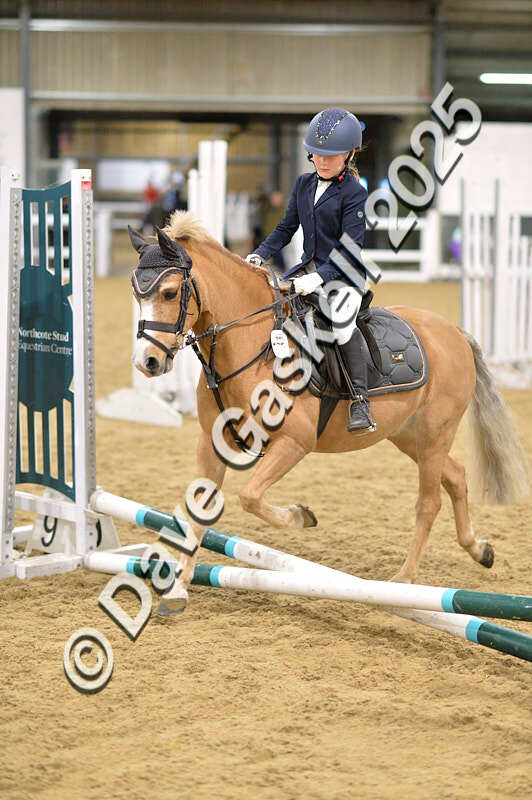 D4N_6598 - NorthcoteSat8thDec'25 XmasShowJumping AvailableUntil6thJan'26