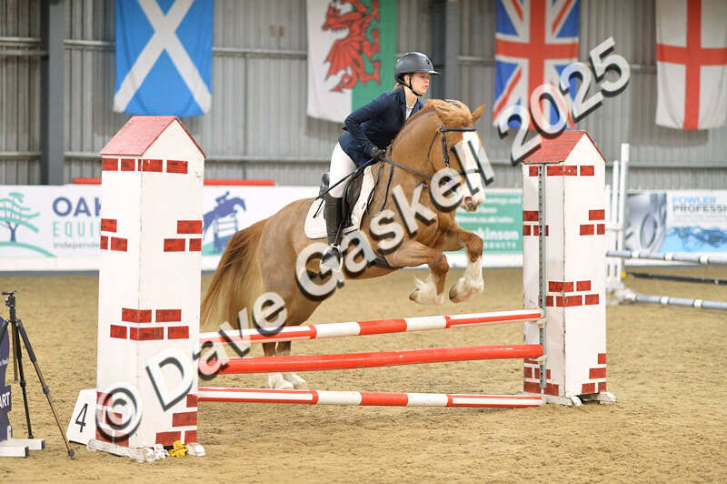 D4N_5743 - NorthcoteSun16thNov'25 Unaff.Jumping AvailableUntil16thDec'25