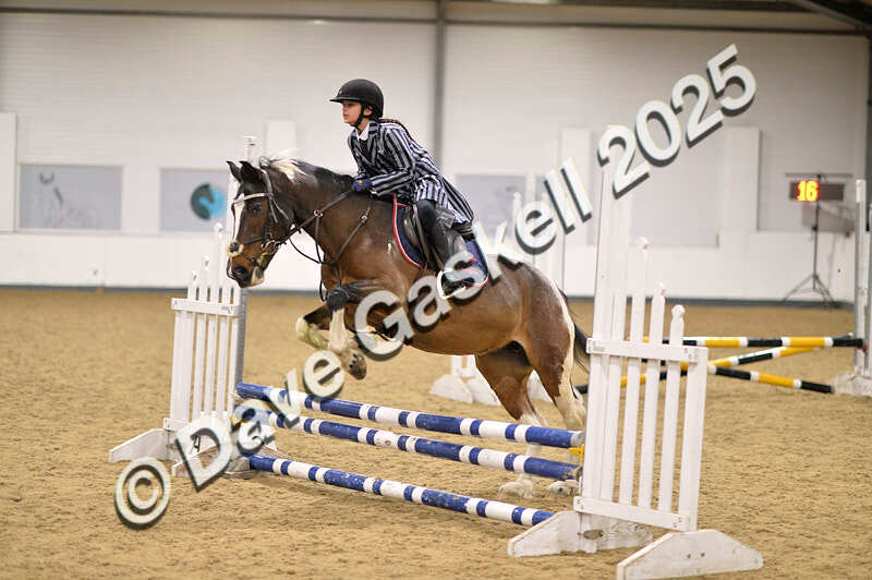 D4N_4895 - NorthcoteSun26thOct'25 Unaff.Jumping AvailableUntil28thNov'25