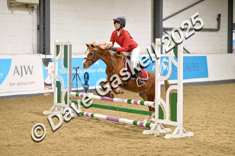 D4N_6927 - NorthcoteSat8thDec'25 XmasShowJumping AvailableUntil6thJan'26