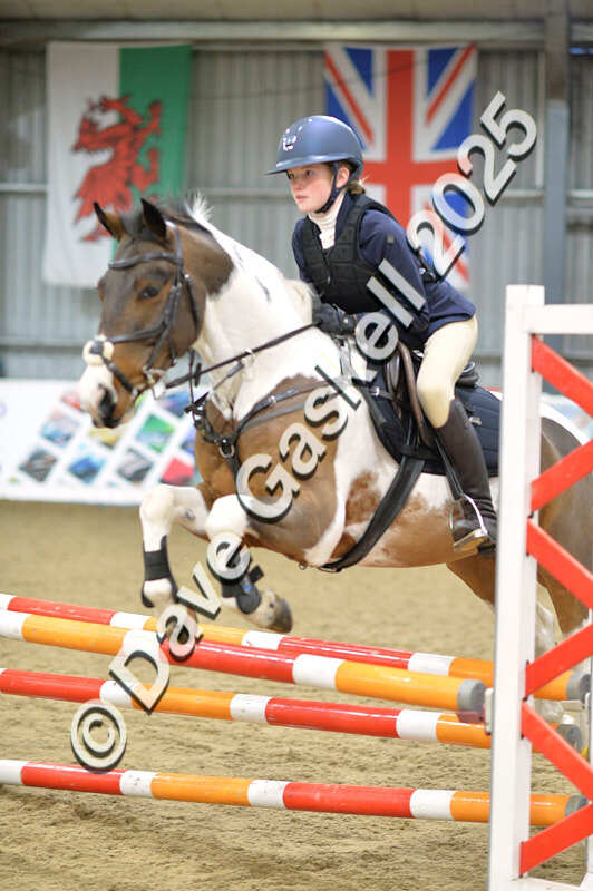 D4N_5814 - NorthcoteSun16thNov'25 Unaff.Jumping AvailableUntil16thDec'25