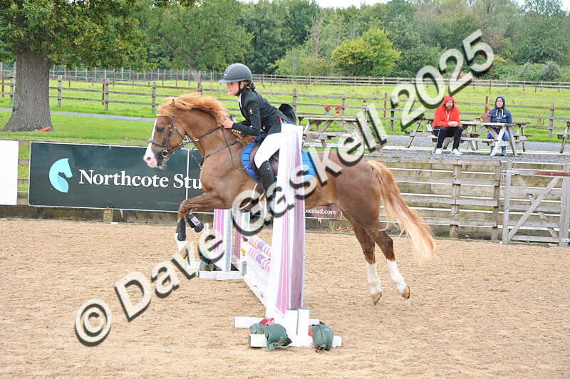 D8F_4084 - Northcote14thSept'25 Unaff.Jumping (JuniorsClassesOnly) AvailableUntil14thOct'25