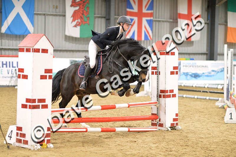 D4N_6020 - NorthcoteSun16thNov'25 Unaff.Jumping AvailableUntil16thDec'25