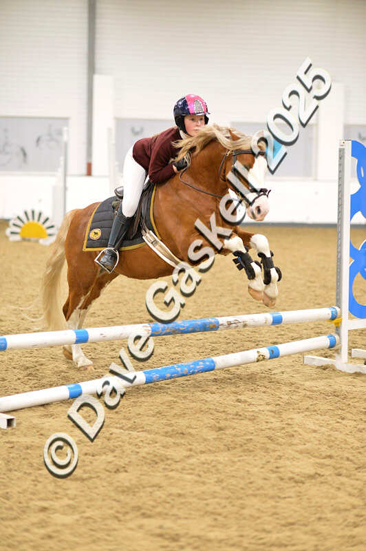 D4N_6659 - NorthcoteSat8thDec'25 XmasShowJumping AvailableUntil6thJan'26