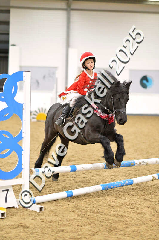 D4N_6719 - NorthcoteSat8thDec'25 XmasShowJumping AvailableUntil6thJan'26
