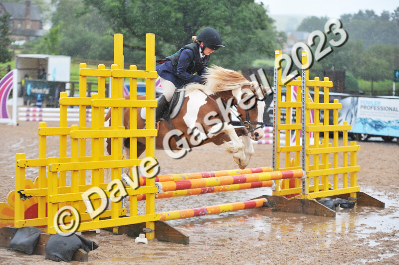 D8D_7110 - Juniors