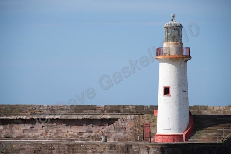 DSC_2999 - Whitehaven